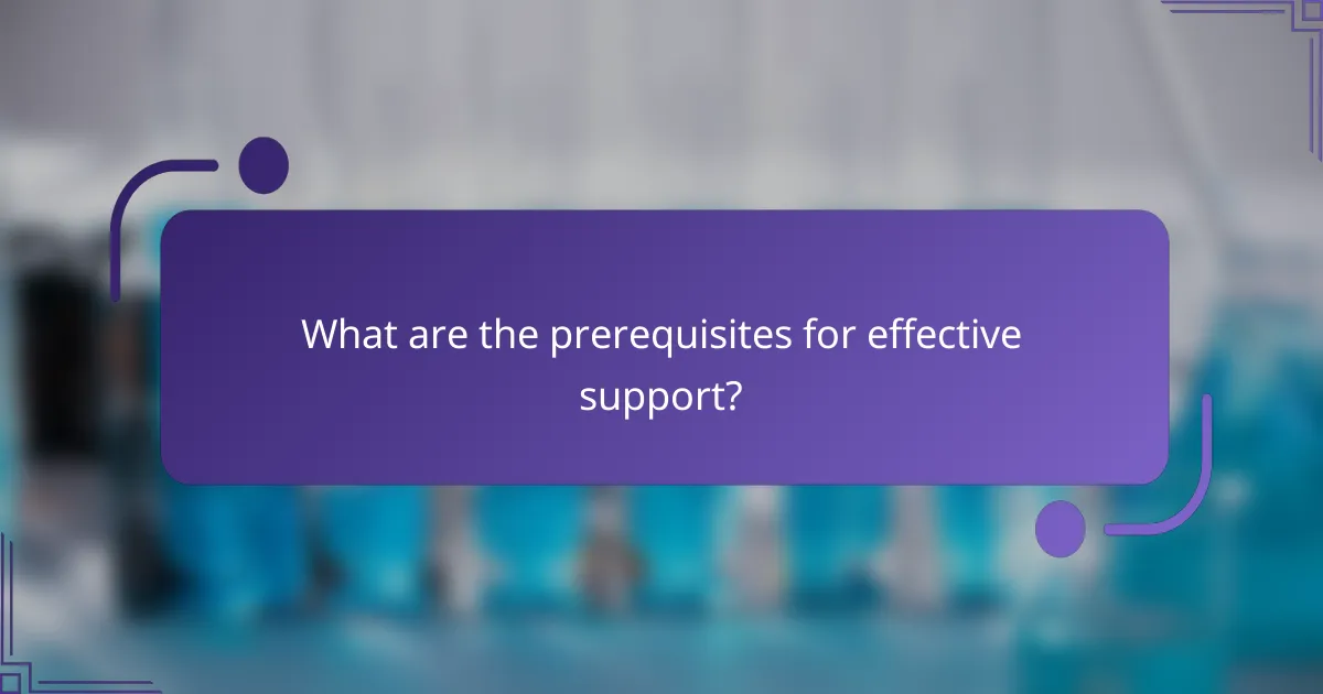 What are the prerequisites for effective support?